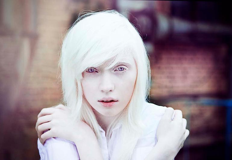 Пекинес альбинос фото