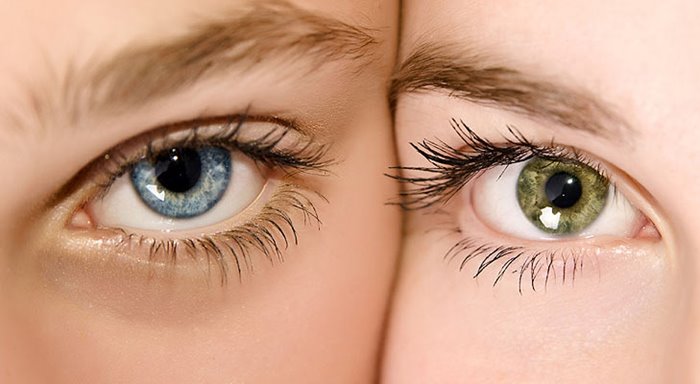 голубые и зеленые глаза